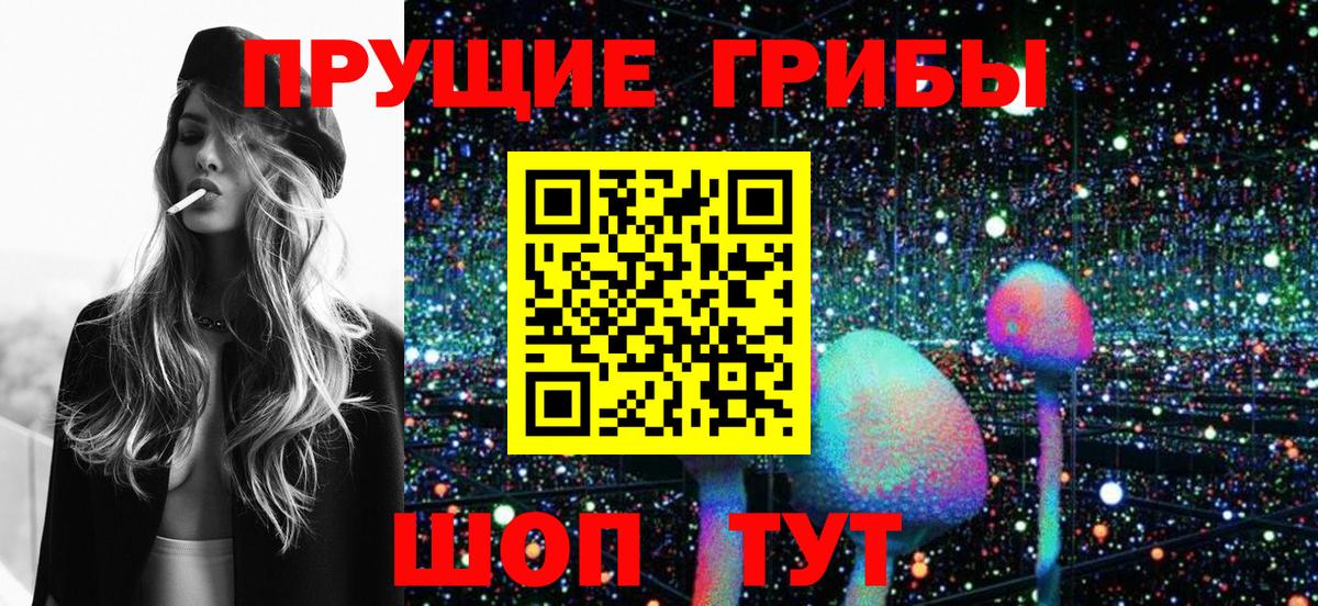 Заволжье  Псилоцибиновые грибы Cubensis  Вход с VPN  Галлюциногенные грибы MAGIC MUSHROOMS 